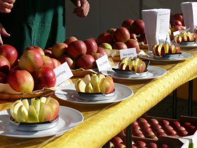 Apfelverkostung des Provinzialverbands